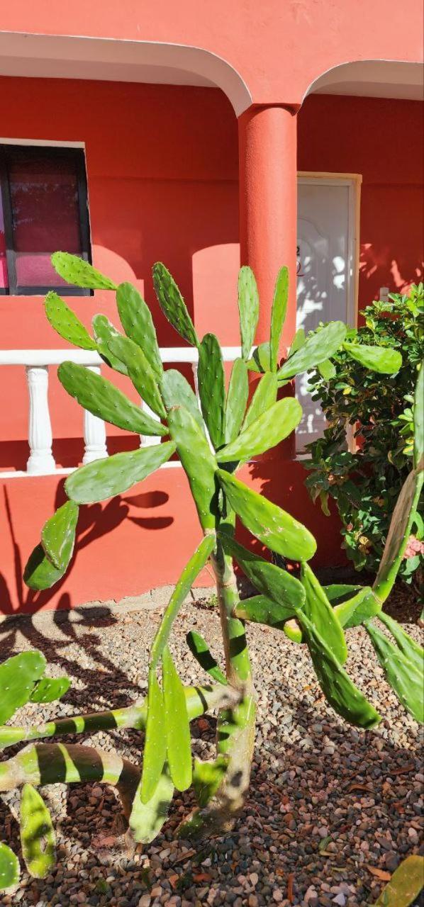 Villa Kiki Ensenada Punta Rucia Exteriér fotografie