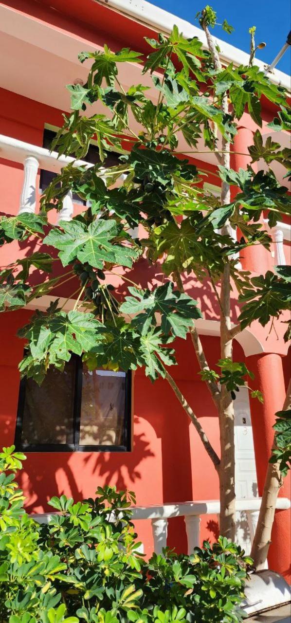 Villa Kiki Ensenada Punta Rucia Exteriér fotografie